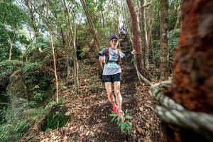 BIB: 7188
                            <button type="button" onclick="openModal(24753867)" class="btn btn-primary btn-sm float-right btn-popup" data-toggle="modal" data-target=".modal-high-quality">
                        <i class="fas fa-shopping-cart"></i> Add to Cart
                    </button>
                                            <button type="button" onclick="isThisMe(24753867, true)" class="btn btn-success btn-sm float-right btn-popup btn-isme hidden" data-toggle="tooltip" data-placement="bottom" title="นี่คือรูปของคุณใช่ไหม คลิกที่นี่เพื่อเอาเข้าอัลบั้ม">
                        <i class="fas fa-plus"></i> Add to album
                    </button>
                    <button type="button" onclick="isThisMe(24753867, false)" class="btn btn-warning btn-sm float-right btn-popup btn-isnotme hidden">
                        <i class="fas fa-ban"></i> Remove from album
                    </button>