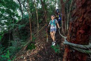 BIB: 
                            <button type="button" onclick="openModal(24753188)" class="btn btn-primary btn-sm float-right btn-popup" data-toggle="modal" data-target=".modal-high-quality">
                        <i class="fas fa-shopping-cart"></i> Add to Cart
                    </button>
                                            <button type="button" onclick="isThisMe(24753188, true)" class="btn btn-success btn-sm float-right btn-popup btn-isme hidden" data-toggle="tooltip" data-placement="bottom" title="นี่คือรูปของคุณใช่ไหม คลิกที่นี่เพื่อเอาเข้าอัลบั้ม">
                        <i class="fas fa-plus"></i> Add to album
                    </button>
                    <button type="button" onclick="isThisMe(24753188, false)" class="btn btn-warning btn-sm float-right btn-popup btn-isnotme hidden">
                        <i class="fas fa-ban"></i> Remove from album
                    </button>