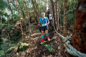 BIB: 
                            <button type="button" onclick="openModal(24754472)" class="btn btn-primary btn-sm float-right btn-popup" data-toggle="modal" data-target=".modal-high-quality">
                        <i class="fas fa-shopping-cart"></i> Add to Cart
                    </button>
                                            <button type="button" onclick="isThisMe(24754472, true)" class="btn btn-success btn-sm float-right btn-popup btn-isme hidden" data-toggle="tooltip" data-placement="bottom" title="นี่คือรูปของคุณใช่ไหม คลิกที่นี่เพื่อเอาเข้าอัลบั้ม">
                        <i class="fas fa-plus"></i> Add to album
                    </button>
                    <button type="button" onclick="isThisMe(24754472, false)" class="btn btn-warning btn-sm float-right btn-popup btn-isnotme hidden">
                        <i class="fas fa-ban"></i> Remove from album
                    </button>