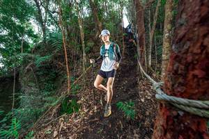 BIB: 
                            <button type="button" onclick="openModal(24753646)" class="btn btn-primary btn-sm float-right btn-popup" data-toggle="modal" data-target=".modal-high-quality">
                        <i class="fas fa-shopping-cart"></i> Add to Cart
                    </button>
                                            <button type="button" onclick="isThisMe(24753646, true)" class="btn btn-success btn-sm float-right btn-popup btn-isme hidden" data-toggle="tooltip" data-placement="bottom" title="นี่คือรูปของคุณใช่ไหม คลิกที่นี่เพื่อเอาเข้าอัลบั้ม">
                        <i class="fas fa-plus"></i> Add to album
                    </button>
                    <button type="button" onclick="isThisMe(24753646, false)" class="btn btn-warning btn-sm float-right btn-popup btn-isnotme hidden">
                        <i class="fas fa-ban"></i> Remove from album
                    </button>