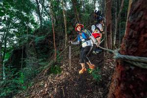 BIB: 
                            <button type="button" onclick="openModal(24752995)" class="btn btn-primary btn-sm float-right btn-popup" data-toggle="modal" data-target=".modal-high-quality">
                        <i class="fas fa-shopping-cart"></i> Add to Cart
                    </button>
                                            <button type="button" onclick="isThisMe(24752995, true)" class="btn btn-success btn-sm float-right btn-popup btn-isme hidden" data-toggle="tooltip" data-placement="bottom" title="นี่คือรูปของคุณใช่ไหม คลิกที่นี่เพื่อเอาเข้าอัลบั้ม">
                        <i class="fas fa-plus"></i> Add to album
                    </button>
                    <button type="button" onclick="isThisMe(24752995, false)" class="btn btn-warning btn-sm float-right btn-popup btn-isnotme hidden">
                        <i class="fas fa-ban"></i> Remove from album
                    </button>