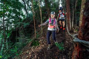 BIB: 
                            <button type="button" onclick="openModal(24752933)" class="btn btn-primary btn-sm float-right btn-popup" data-toggle="modal" data-target=".modal-high-quality">
                        <i class="fas fa-shopping-cart"></i> Add to Cart
                    </button>
                                            <button type="button" onclick="isThisMe(24752933, true)" class="btn btn-success btn-sm float-right btn-popup btn-isme hidden" data-toggle="tooltip" data-placement="bottom" title="นี่คือรูปของคุณใช่ไหม คลิกที่นี่เพื่อเอาเข้าอัลบั้ม">
                        <i class="fas fa-plus"></i> Add to album
                    </button>
                    <button type="button" onclick="isThisMe(24752933, false)" class="btn btn-warning btn-sm float-right btn-popup btn-isnotme hidden">
                        <i class="fas fa-ban"></i> Remove from album
                    </button>