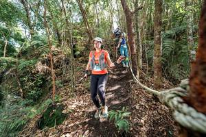 BIB: 
                            <button type="button" onclick="openModal(24754835)" class="btn btn-primary btn-sm float-right btn-popup" data-toggle="modal" data-target=".modal-high-quality">
                        <i class="fas fa-shopping-cart"></i> Add to Cart
                    </button>
                                            <button type="button" onclick="isThisMe(24754835, true)" class="btn btn-success btn-sm float-right btn-popup btn-isme hidden" data-toggle="tooltip" data-placement="bottom" title="นี่คือรูปของคุณใช่ไหม คลิกที่นี่เพื่อเอาเข้าอัลบั้ม">
                        <i class="fas fa-plus"></i> Add to album
                    </button>
                    <button type="button" onclick="isThisMe(24754835, false)" class="btn btn-warning btn-sm float-right btn-popup btn-isnotme hidden">
                        <i class="fas fa-ban"></i> Remove from album
                    </button>