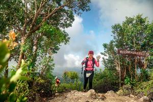 BIB: 
                            <button type="button" onclick="openModal(24891153)" class="btn btn-primary btn-sm float-right btn-popup" data-toggle="modal" data-target=".modal-high-quality">
                        <i class="fas fa-shopping-cart"></i> Add to Cart
                    </button>
                                            <button type="button" onclick="isThisMe(24891153, true)" class="btn btn-success btn-sm float-right btn-popup btn-isme hidden" data-toggle="tooltip" data-placement="bottom" title="นี่คือรูปของคุณใช่ไหม คลิกที่นี่เพื่อเอาเข้าอัลบั้ม">
                        <i class="fas fa-plus"></i> Add to album
                    </button>
                    <button type="button" onclick="isThisMe(24891153, false)" class="btn btn-warning btn-sm float-right btn-popup btn-isnotme hidden">
                        <i class="fas fa-ban"></i> Remove from album
                    </button>