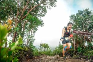 BIB: 
                            <button type="button" onclick="openModal(24890240)" class="btn btn-primary btn-sm float-right btn-popup" data-toggle="modal" data-target=".modal-high-quality">
                        <i class="fas fa-shopping-cart"></i> Add to Cart
                    </button>
                                            <button type="button" onclick="isThisMe(24890240, true)" class="btn btn-success btn-sm float-right btn-popup btn-isme hidden" data-toggle="tooltip" data-placement="bottom" title="นี่คือรูปของคุณใช่ไหม คลิกที่นี่เพื่อเอาเข้าอัลบั้ม">
                        <i class="fas fa-plus"></i> Add to album
                    </button>
                    <button type="button" onclick="isThisMe(24890240, false)" class="btn btn-warning btn-sm float-right btn-popup btn-isnotme hidden">
                        <i class="fas fa-ban"></i> Remove from album
                    </button>