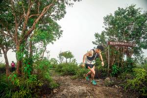 BIB: 
                            <button type="button" onclick="openModal(24889747)" class="btn btn-primary btn-sm float-right btn-popup" data-toggle="modal" data-target=".modal-high-quality">
                        <i class="fas fa-shopping-cart"></i> Add to Cart
                    </button>
                                            <button type="button" onclick="isThisMe(24889747, true)" class="btn btn-success btn-sm float-right btn-popup btn-isme hidden" data-toggle="tooltip" data-placement="bottom" title="นี่คือรูปของคุณใช่ไหม คลิกที่นี่เพื่อเอาเข้าอัลบั้ม">
                        <i class="fas fa-plus"></i> Add to album
                    </button>
                    <button type="button" onclick="isThisMe(24889747, false)" class="btn btn-warning btn-sm float-right btn-popup btn-isnotme hidden">
                        <i class="fas fa-ban"></i> Remove from album
                    </button>