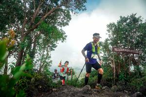 BIB: 
                            <button type="button" onclick="openModal(24890476)" class="btn btn-primary btn-sm float-right btn-popup" data-toggle="modal" data-target=".modal-high-quality">
                        <i class="fas fa-shopping-cart"></i> Add to Cart
                    </button>
                                            <button type="button" onclick="isThisMe(24890476, true)" class="btn btn-success btn-sm float-right btn-popup btn-isme hidden" data-toggle="tooltip" data-placement="bottom" title="นี่คือรูปของคุณใช่ไหม คลิกที่นี่เพื่อเอาเข้าอัลบั้ม">
                        <i class="fas fa-plus"></i> Add to album
                    </button>
                    <button type="button" onclick="isThisMe(24890476, false)" class="btn btn-warning btn-sm float-right btn-popup btn-isnotme hidden">
                        <i class="fas fa-ban"></i> Remove from album
                    </button>