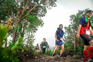 BIB: 
                            <button type="button" onclick="openModal(24890124)" class="btn btn-primary btn-sm float-right btn-popup" data-toggle="modal" data-target=".modal-high-quality">
                        <i class="fas fa-shopping-cart"></i> Add to Cart
                    </button>
                                            <button type="button" onclick="isThisMe(24890124, true)" class="btn btn-success btn-sm float-right btn-popup btn-isme hidden" data-toggle="tooltip" data-placement="bottom" title="นี่คือรูปของคุณใช่ไหม คลิกที่นี่เพื่อเอาเข้าอัลบั้ม">
                        <i class="fas fa-plus"></i> Add to album
                    </button>
                    <button type="button" onclick="isThisMe(24890124, false)" class="btn btn-warning btn-sm float-right btn-popup btn-isnotme hidden">
                        <i class="fas fa-ban"></i> Remove from album
                    </button>