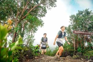 BIB: 
                            <button type="button" onclick="openModal(24890257)" class="btn btn-primary btn-sm float-right btn-popup" data-toggle="modal" data-target=".modal-high-quality">
                        <i class="fas fa-shopping-cart"></i> Add to Cart
                    </button>
                                            <button type="button" onclick="isThisMe(24890257, true)" class="btn btn-success btn-sm float-right btn-popup btn-isme hidden" data-toggle="tooltip" data-placement="bottom" title="นี่คือรูปของคุณใช่ไหม คลิกที่นี่เพื่อเอาเข้าอัลบั้ม">
                        <i class="fas fa-plus"></i> Add to album
                    </button>
                    <button type="button" onclick="isThisMe(24890257, false)" class="btn btn-warning btn-sm float-right btn-popup btn-isnotme hidden">
                        <i class="fas fa-ban"></i> Remove from album
                    </button>