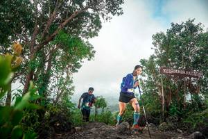 BIB: 
                            <button type="button" onclick="openModal(24890694)" class="btn btn-primary btn-sm float-right btn-popup" data-toggle="modal" data-target=".modal-high-quality">
                        <i class="fas fa-shopping-cart"></i> Add to Cart
                    </button>
                                            <button type="button" onclick="isThisMe(24890694, true)" class="btn btn-success btn-sm float-right btn-popup btn-isme hidden" data-toggle="tooltip" data-placement="bottom" title="นี่คือรูปของคุณใช่ไหม คลิกที่นี่เพื่อเอาเข้าอัลบั้ม">
                        <i class="fas fa-plus"></i> Add to album
                    </button>
                    <button type="button" onclick="isThisMe(24890694, false)" class="btn btn-warning btn-sm float-right btn-popup btn-isnotme hidden">
                        <i class="fas fa-ban"></i> Remove from album
                    </button>