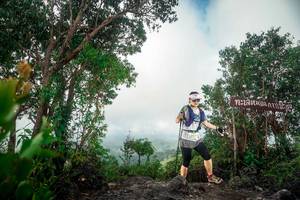 BIB: 
                            <button type="button" onclick="openModal(24890682)" class="btn btn-primary btn-sm float-right btn-popup" data-toggle="modal" data-target=".modal-high-quality">
                        <i class="fas fa-shopping-cart"></i> Add to Cart
                    </button>
                                            <button type="button" onclick="isThisMe(24890682, true)" class="btn btn-success btn-sm float-right btn-popup btn-isme hidden" data-toggle="tooltip" data-placement="bottom" title="นี่คือรูปของคุณใช่ไหม คลิกที่นี่เพื่อเอาเข้าอัลบั้ม">
                        <i class="fas fa-plus"></i> Add to album
                    </button>
                    <button type="button" onclick="isThisMe(24890682, false)" class="btn btn-warning btn-sm float-right btn-popup btn-isnotme hidden">
                        <i class="fas fa-ban"></i> Remove from album
                    </button>