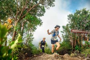 BIB: 
                            <button type="button" onclick="openModal(24890279)" class="btn btn-primary btn-sm float-right btn-popup" data-toggle="modal" data-target=".modal-high-quality">
                        <i class="fas fa-shopping-cart"></i> Add to Cart
                    </button>
                                            <button type="button" onclick="isThisMe(24890279, true)" class="btn btn-success btn-sm float-right btn-popup btn-isme hidden" data-toggle="tooltip" data-placement="bottom" title="นี่คือรูปของคุณใช่ไหม คลิกที่นี่เพื่อเอาเข้าอัลบั้ม">
                        <i class="fas fa-plus"></i> Add to album
                    </button>
                    <button type="button" onclick="isThisMe(24890279, false)" class="btn btn-warning btn-sm float-right btn-popup btn-isnotme hidden">
                        <i class="fas fa-ban"></i> Remove from album
                    </button>