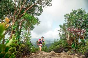 BIB: 
                            <button type="button" onclick="openModal(24891091)" class="btn btn-primary btn-sm float-right btn-popup" data-toggle="modal" data-target=".modal-high-quality">
                        <i class="fas fa-shopping-cart"></i> Add to Cart
                    </button>
                                            <button type="button" onclick="isThisMe(24891091, true)" class="btn btn-success btn-sm float-right btn-popup btn-isme hidden" data-toggle="tooltip" data-placement="bottom" title="นี่คือรูปของคุณใช่ไหม คลิกที่นี่เพื่อเอาเข้าอัลบั้ม">
                        <i class="fas fa-plus"></i> Add to album
                    </button>
                    <button type="button" onclick="isThisMe(24891091, false)" class="btn btn-warning btn-sm float-right btn-popup btn-isnotme hidden">
                        <i class="fas fa-ban"></i> Remove from album
                    </button>