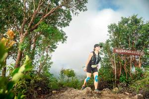 BIB: 
                            <button type="button" onclick="openModal(24890300)" class="btn btn-primary btn-sm float-right btn-popup" data-toggle="modal" data-target=".modal-high-quality">
                        <i class="fas fa-shopping-cart"></i> Add to Cart
                    </button>
                                            <button type="button" onclick="isThisMe(24890300, true)" class="btn btn-success btn-sm float-right btn-popup btn-isme hidden" data-toggle="tooltip" data-placement="bottom" title="นี่คือรูปของคุณใช่ไหม คลิกที่นี่เพื่อเอาเข้าอัลบั้ม">
                        <i class="fas fa-plus"></i> Add to album
                    </button>
                    <button type="button" onclick="isThisMe(24890300, false)" class="btn btn-warning btn-sm float-right btn-popup btn-isnotme hidden">
                        <i class="fas fa-ban"></i> Remove from album
                    </button>