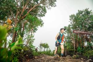 BIB: 
                            <button type="button" onclick="openModal(24889897)" class="btn btn-primary btn-sm float-right btn-popup" data-toggle="modal" data-target=".modal-high-quality">
                        <i class="fas fa-shopping-cart"></i> Add to Cart
                    </button>
                                            <button type="button" onclick="isThisMe(24889897, true)" class="btn btn-success btn-sm float-right btn-popup btn-isme hidden" data-toggle="tooltip" data-placement="bottom" title="นี่คือรูปของคุณใช่ไหม คลิกที่นี่เพื่อเอาเข้าอัลบั้ม">
                        <i class="fas fa-plus"></i> Add to album
                    </button>
                    <button type="button" onclick="isThisMe(24889897, false)" class="btn btn-warning btn-sm float-right btn-popup btn-isnotme hidden">
                        <i class="fas fa-ban"></i> Remove from album
                    </button>