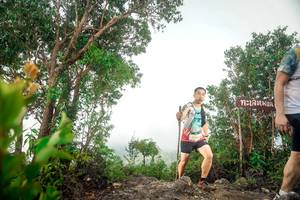 BIB: 
                            <button type="button" onclick="openModal(24889996)" class="btn btn-primary btn-sm float-right btn-popup" data-toggle="modal" data-target=".modal-high-quality">
                        <i class="fas fa-shopping-cart"></i> Add to Cart
                    </button>
                                            <button type="button" onclick="isThisMe(24889996, true)" class="btn btn-success btn-sm float-right btn-popup btn-isme hidden" data-toggle="tooltip" data-placement="bottom" title="นี่คือรูปของคุณใช่ไหม คลิกที่นี่เพื่อเอาเข้าอัลบั้ม">
                        <i class="fas fa-plus"></i> Add to album
                    </button>
                    <button type="button" onclick="isThisMe(24889996, false)" class="btn btn-warning btn-sm float-right btn-popup btn-isnotme hidden">
                        <i class="fas fa-ban"></i> Remove from album
                    </button>