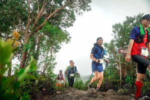 BIB: 211
                            <button type="button" onclick="openModal(24890125)" class="btn btn-primary btn-sm float-right btn-popup" data-toggle="modal" data-target=".modal-high-quality">
                        <i class="fas fa-shopping-cart"></i> Add to Cart
                    </button>
                                            <button type="button" onclick="isThisMe(24890125, true)" class="btn btn-success btn-sm float-right btn-popup btn-isme hidden" data-toggle="tooltip" data-placement="bottom" title="นี่คือรูปของคุณใช่ไหม คลิกที่นี่เพื่อเอาเข้าอัลบั้ม">
                        <i class="fas fa-plus"></i> Add to album
                    </button>
                    <button type="button" onclick="isThisMe(24890125, false)" class="btn btn-warning btn-sm float-right btn-popup btn-isnotme hidden">
                        <i class="fas fa-ban"></i> Remove from album
                    </button>