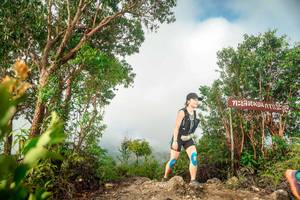 BIB: 
                            <button type="button" onclick="openModal(24890302)" class="btn btn-primary btn-sm float-right btn-popup" data-toggle="modal" data-target=".modal-high-quality">
                        <i class="fas fa-shopping-cart"></i> Add to Cart
                    </button>
                                            <button type="button" onclick="isThisMe(24890302, true)" class="btn btn-success btn-sm float-right btn-popup btn-isme hidden" data-toggle="tooltip" data-placement="bottom" title="นี่คือรูปของคุณใช่ไหม คลิกที่นี่เพื่อเอาเข้าอัลบั้ม">
                        <i class="fas fa-plus"></i> Add to album
                    </button>
                    <button type="button" onclick="isThisMe(24890302, false)" class="btn btn-warning btn-sm float-right btn-popup btn-isnotme hidden">
                        <i class="fas fa-ban"></i> Remove from album
                    </button>