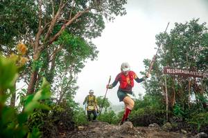 BIB: 
                            <button type="button" onclick="openModal(24890145)" class="btn btn-primary btn-sm float-right btn-popup" data-toggle="modal" data-target=".modal-high-quality">
                        <i class="fas fa-shopping-cart"></i> Add to Cart
                    </button>
                                            <button type="button" onclick="isThisMe(24890145, true)" class="btn btn-success btn-sm float-right btn-popup btn-isme hidden" data-toggle="tooltip" data-placement="bottom" title="นี่คือรูปของคุณใช่ไหม คลิกที่นี่เพื่อเอาเข้าอัลบั้ม">
                        <i class="fas fa-plus"></i> Add to album
                    </button>
                    <button type="button" onclick="isThisMe(24890145, false)" class="btn btn-warning btn-sm float-right btn-popup btn-isnotme hidden">
                        <i class="fas fa-ban"></i> Remove from album
                    </button>