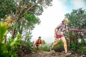 BIB: 
                            <button type="button" onclick="openModal(24890250)" class="btn btn-primary btn-sm float-right btn-popup" data-toggle="modal" data-target=".modal-high-quality">
                        <i class="fas fa-shopping-cart"></i> Add to Cart
                    </button>
                                            <button type="button" onclick="isThisMe(24890250, true)" class="btn btn-success btn-sm float-right btn-popup btn-isme hidden" data-toggle="tooltip" data-placement="bottom" title="นี่คือรูปของคุณใช่ไหม คลิกที่นี่เพื่อเอาเข้าอัลบั้ม">
                        <i class="fas fa-plus"></i> Add to album
                    </button>
                    <button type="button" onclick="isThisMe(24890250, false)" class="btn btn-warning btn-sm float-right btn-popup btn-isnotme hidden">
                        <i class="fas fa-ban"></i> Remove from album
                    </button>