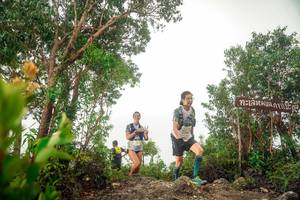 BIB: 
                            <button type="button" onclick="openModal(24889859)" class="btn btn-primary btn-sm float-right btn-popup" data-toggle="modal" data-target=".modal-high-quality">
                        <i class="fas fa-shopping-cart"></i> Add to Cart
                    </button>
                                            <button type="button" onclick="isThisMe(24889859, true)" class="btn btn-success btn-sm float-right btn-popup btn-isme hidden" data-toggle="tooltip" data-placement="bottom" title="นี่คือรูปของคุณใช่ไหม คลิกที่นี่เพื่อเอาเข้าอัลบั้ม">
                        <i class="fas fa-plus"></i> Add to album
                    </button>
                    <button type="button" onclick="isThisMe(24889859, false)" class="btn btn-warning btn-sm float-right btn-popup btn-isnotme hidden">
                        <i class="fas fa-ban"></i> Remove from album
                    </button>