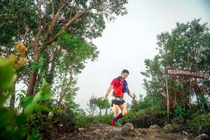 BIB: 
                            <button type="button" onclick="openModal(24889925)" class="btn btn-primary btn-sm float-right btn-popup" data-toggle="modal" data-target=".modal-high-quality">
                        <i class="fas fa-shopping-cart"></i> Add to Cart
                    </button>
                                            <button type="button" onclick="isThisMe(24889925, true)" class="btn btn-success btn-sm float-right btn-popup btn-isme hidden" data-toggle="tooltip" data-placement="bottom" title="นี่คือรูปของคุณใช่ไหม คลิกที่นี่เพื่อเอาเข้าอัลบั้ม">
                        <i class="fas fa-plus"></i> Add to album
                    </button>
                    <button type="button" onclick="isThisMe(24889925, false)" class="btn btn-warning btn-sm float-right btn-popup btn-isnotme hidden">
                        <i class="fas fa-ban"></i> Remove from album
                    </button>