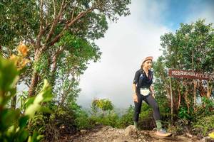 BIB: 
                            <button type="button" onclick="openModal(24890282)" class="btn btn-primary btn-sm float-right btn-popup" data-toggle="modal" data-target=".modal-high-quality">
                        <i class="fas fa-shopping-cart"></i> Add to Cart
                    </button>
                                            <button type="button" onclick="isThisMe(24890282, true)" class="btn btn-success btn-sm float-right btn-popup btn-isme hidden" data-toggle="tooltip" data-placement="bottom" title="นี่คือรูปของคุณใช่ไหม คลิกที่นี่เพื่อเอาเข้าอัลบั้ม">
                        <i class="fas fa-plus"></i> Add to album
                    </button>
                    <button type="button" onclick="isThisMe(24890282, false)" class="btn btn-warning btn-sm float-right btn-popup btn-isnotme hidden">
                        <i class="fas fa-ban"></i> Remove from album
                    </button>