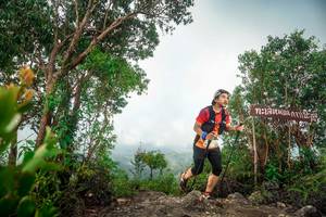 BIB: 
                            <button type="button" onclick="openModal(24890840)" class="btn btn-primary btn-sm float-right btn-popup" data-toggle="modal" data-target=".modal-high-quality">
                        <i class="fas fa-shopping-cart"></i> Add to Cart
                    </button>
                                            <button type="button" onclick="isThisMe(24890840, true)" class="btn btn-success btn-sm float-right btn-popup btn-isme hidden" data-toggle="tooltip" data-placement="bottom" title="นี่คือรูปของคุณใช่ไหม คลิกที่นี่เพื่อเอาเข้าอัลบั้ม">
                        <i class="fas fa-plus"></i> Add to album
                    </button>
                    <button type="button" onclick="isThisMe(24890840, false)" class="btn btn-warning btn-sm float-right btn-popup btn-isnotme hidden">
                        <i class="fas fa-ban"></i> Remove from album
                    </button>