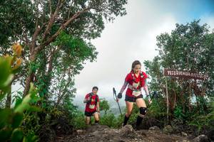 BIB: 
                            <button type="button" onclick="openModal(24890717)" class="btn btn-primary btn-sm float-right btn-popup" data-toggle="modal" data-target=".modal-high-quality">
                        <i class="fas fa-shopping-cart"></i> Add to Cart
                    </button>
                                            <button type="button" onclick="isThisMe(24890717, true)" class="btn btn-success btn-sm float-right btn-popup btn-isme hidden" data-toggle="tooltip" data-placement="bottom" title="นี่คือรูปของคุณใช่ไหม คลิกที่นี่เพื่อเอาเข้าอัลบั้ม">
                        <i class="fas fa-plus"></i> Add to album
                    </button>
                    <button type="button" onclick="isThisMe(24890717, false)" class="btn btn-warning btn-sm float-right btn-popup btn-isnotme hidden">
                        <i class="fas fa-ban"></i> Remove from album
                    </button>