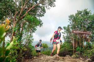 BIB: 
                            <button type="button" onclick="openModal(24891099)" class="btn btn-primary btn-sm float-right btn-popup" data-toggle="modal" data-target=".modal-high-quality">
                        <i class="fas fa-shopping-cart"></i> Add to Cart
                    </button>
                                            <button type="button" onclick="isThisMe(24891099, true)" class="btn btn-success btn-sm float-right btn-popup btn-isme hidden" data-toggle="tooltip" data-placement="bottom" title="นี่คือรูปของคุณใช่ไหม คลิกที่นี่เพื่อเอาเข้าอัลบั้ม">
                        <i class="fas fa-plus"></i> Add to album
                    </button>
                    <button type="button" onclick="isThisMe(24891099, false)" class="btn btn-warning btn-sm float-right btn-popup btn-isnotme hidden">
                        <i class="fas fa-ban"></i> Remove from album
                    </button>