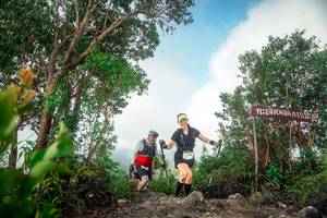 BIB: 
                            <button type="button" onclick="openModal(24890368)" class="btn btn-primary btn-sm float-right btn-popup" data-toggle="modal" data-target=".modal-high-quality">
                        <i class="fas fa-shopping-cart"></i> Add to Cart
                    </button>
                                            <button type="button" onclick="isThisMe(24890368, true)" class="btn btn-success btn-sm float-right btn-popup btn-isme hidden" data-toggle="tooltip" data-placement="bottom" title="นี่คือรูปของคุณใช่ไหม คลิกที่นี่เพื่อเอาเข้าอัลบั้ม">
                        <i class="fas fa-plus"></i> Add to album
                    </button>
                    <button type="button" onclick="isThisMe(24890368, false)" class="btn btn-warning btn-sm float-right btn-popup btn-isnotme hidden">
                        <i class="fas fa-ban"></i> Remove from album
                    </button>