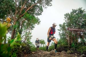 BIB: 
                            <button type="button" onclick="openModal(24889913)" class="btn btn-primary btn-sm float-right btn-popup" data-toggle="modal" data-target=".modal-high-quality">
                        <i class="fas fa-shopping-cart"></i> Add to Cart
                    </button>
                                            <button type="button" onclick="isThisMe(24889913, true)" class="btn btn-success btn-sm float-right btn-popup btn-isme hidden" data-toggle="tooltip" data-placement="bottom" title="นี่คือรูปของคุณใช่ไหม คลิกที่นี่เพื่อเอาเข้าอัลบั้ม">
                        <i class="fas fa-plus"></i> Add to album
                    </button>
                    <button type="button" onclick="isThisMe(24889913, false)" class="btn btn-warning btn-sm float-right btn-popup btn-isnotme hidden">
                        <i class="fas fa-ban"></i> Remove from album
                    </button>