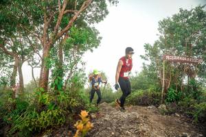 BIB: 
                            <button type="button" onclick="openModal(24889698)" class="btn btn-primary btn-sm float-right btn-popup" data-toggle="modal" data-target=".modal-high-quality">
                        <i class="fas fa-shopping-cart"></i> Add to Cart
                    </button>
                                            <button type="button" onclick="isThisMe(24889698, true)" class="btn btn-success btn-sm float-right btn-popup btn-isme hidden" data-toggle="tooltip" data-placement="bottom" title="นี่คือรูปของคุณใช่ไหม คลิกที่นี่เพื่อเอาเข้าอัลบั้ม">
                        <i class="fas fa-plus"></i> Add to album
                    </button>
                    <button type="button" onclick="isThisMe(24889698, false)" class="btn btn-warning btn-sm float-right btn-popup btn-isnotme hidden">
                        <i class="fas fa-ban"></i> Remove from album
                    </button>