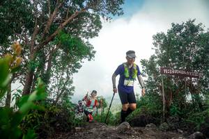 BIB: 
                            <button type="button" onclick="openModal(24890472)" class="btn btn-primary btn-sm float-right btn-popup" data-toggle="modal" data-target=".modal-high-quality">
                        <i class="fas fa-shopping-cart"></i> Add to Cart
                    </button>
                                            <button type="button" onclick="isThisMe(24890472, true)" class="btn btn-success btn-sm float-right btn-popup btn-isme hidden" data-toggle="tooltip" data-placement="bottom" title="นี่คือรูปของคุณใช่ไหม คลิกที่นี่เพื่อเอาเข้าอัลบั้ม">
                        <i class="fas fa-plus"></i> Add to album
                    </button>
                    <button type="button" onclick="isThisMe(24890472, false)" class="btn btn-warning btn-sm float-right btn-popup btn-isnotme hidden">
                        <i class="fas fa-ban"></i> Remove from album
                    </button>