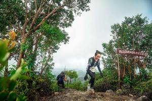 BIB: 
                            <button type="button" onclick="openModal(24890731)" class="btn btn-primary btn-sm float-right btn-popup" data-toggle="modal" data-target=".modal-high-quality">
                        <i class="fas fa-shopping-cart"></i> Add to Cart
                    </button>
                                            <button type="button" onclick="isThisMe(24890731, true)" class="btn btn-success btn-sm float-right btn-popup btn-isme hidden" data-toggle="tooltip" data-placement="bottom" title="นี่คือรูปของคุณใช่ไหม คลิกที่นี่เพื่อเอาเข้าอัลบั้ม">
                        <i class="fas fa-plus"></i> Add to album
                    </button>
                    <button type="button" onclick="isThisMe(24890731, false)" class="btn btn-warning btn-sm float-right btn-popup btn-isnotme hidden">
                        <i class="fas fa-ban"></i> Remove from album
                    </button>