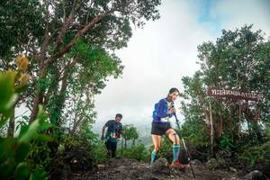 BIB: 
                            <button type="button" onclick="openModal(24890693)" class="btn btn-primary btn-sm float-right btn-popup" data-toggle="modal" data-target=".modal-high-quality">
                        <i class="fas fa-shopping-cart"></i> Add to Cart
                    </button>
                                            <button type="button" onclick="isThisMe(24890693, true)" class="btn btn-success btn-sm float-right btn-popup btn-isme hidden" data-toggle="tooltip" data-placement="bottom" title="นี่คือรูปของคุณใช่ไหม คลิกที่นี่เพื่อเอาเข้าอัลบั้ม">
                        <i class="fas fa-plus"></i> Add to album
                    </button>
                    <button type="button" onclick="isThisMe(24890693, false)" class="btn btn-warning btn-sm float-right btn-popup btn-isnotme hidden">
                        <i class="fas fa-ban"></i> Remove from album
                    </button>