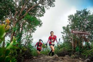 BIB: 
                            <button type="button" onclick="openModal(24890714)" class="btn btn-primary btn-sm float-right btn-popup" data-toggle="modal" data-target=".modal-high-quality">
                        <i class="fas fa-shopping-cart"></i> Add to Cart
                    </button>
                                            <button type="button" onclick="isThisMe(24890714, true)" class="btn btn-success btn-sm float-right btn-popup btn-isme hidden" data-toggle="tooltip" data-placement="bottom" title="นี่คือรูปของคุณใช่ไหม คลิกที่นี่เพื่อเอาเข้าอัลบั้ม">
                        <i class="fas fa-plus"></i> Add to album
                    </button>
                    <button type="button" onclick="isThisMe(24890714, false)" class="btn btn-warning btn-sm float-right btn-popup btn-isnotme hidden">
                        <i class="fas fa-ban"></i> Remove from album
                    </button>