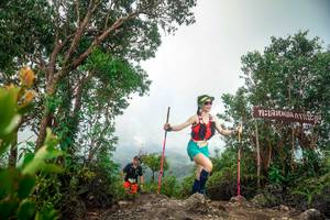 BIB: 
                            <button type="button" onclick="openModal(24890908)" class="btn btn-primary btn-sm float-right btn-popup" data-toggle="modal" data-target=".modal-high-quality">
                        <i class="fas fa-shopping-cart"></i> Add to Cart
                    </button>
                                            <button type="button" onclick="isThisMe(24890908, true)" class="btn btn-success btn-sm float-right btn-popup btn-isme hidden" data-toggle="tooltip" data-placement="bottom" title="นี่คือรูปของคุณใช่ไหม คลิกที่นี่เพื่อเอาเข้าอัลบั้ม">
                        <i class="fas fa-plus"></i> Add to album
                    </button>
                    <button type="button" onclick="isThisMe(24890908, false)" class="btn btn-warning btn-sm float-right btn-popup btn-isnotme hidden">
                        <i class="fas fa-ban"></i> Remove from album
                    </button>