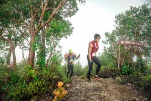 BIB: 
                            <button type="button" onclick="openModal(24889700)" class="btn btn-primary btn-sm float-right btn-popup" data-toggle="modal" data-target=".modal-high-quality">
                        <i class="fas fa-shopping-cart"></i> Add to Cart
                    </button>
                                            <button type="button" onclick="isThisMe(24889700, true)" class="btn btn-success btn-sm float-right btn-popup btn-isme hidden" data-toggle="tooltip" data-placement="bottom" title="นี่คือรูปของคุณใช่ไหม คลิกที่นี่เพื่อเอาเข้าอัลบั้ม">
                        <i class="fas fa-plus"></i> Add to album
                    </button>
                    <button type="button" onclick="isThisMe(24889700, false)" class="btn btn-warning btn-sm float-right btn-popup btn-isnotme hidden">
                        <i class="fas fa-ban"></i> Remove from album
                    </button>