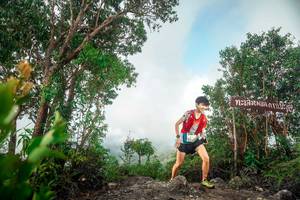 BIB: 
                            <button type="button" onclick="openModal(24890358)" class="btn btn-primary btn-sm float-right btn-popup" data-toggle="modal" data-target=".modal-high-quality">
                        <i class="fas fa-shopping-cart"></i> Add to Cart
                    </button>
                                            <button type="button" onclick="isThisMe(24890358, true)" class="btn btn-success btn-sm float-right btn-popup btn-isme hidden" data-toggle="tooltip" data-placement="bottom" title="นี่คือรูปของคุณใช่ไหม คลิกที่นี่เพื่อเอาเข้าอัลบั้ม">
                        <i class="fas fa-plus"></i> Add to album
                    </button>
                    <button type="button" onclick="isThisMe(24890358, false)" class="btn btn-warning btn-sm float-right btn-popup btn-isnotme hidden">
                        <i class="fas fa-ban"></i> Remove from album
                    </button>