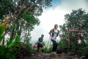 BIB: 
                            <button type="button" onclick="openModal(24890469)" class="btn btn-primary btn-sm float-right btn-popup" data-toggle="modal" data-target=".modal-high-quality">
                        <i class="fas fa-shopping-cart"></i> Add to Cart
                    </button>
                                            <button type="button" onclick="isThisMe(24890469, true)" class="btn btn-success btn-sm float-right btn-popup btn-isme hidden" data-toggle="tooltip" data-placement="bottom" title="นี่คือรูปของคุณใช่ไหม คลิกที่นี่เพื่อเอาเข้าอัลบั้ม">
                        <i class="fas fa-plus"></i> Add to album
                    </button>
                    <button type="button" onclick="isThisMe(24890469, false)" class="btn btn-warning btn-sm float-right btn-popup btn-isnotme hidden">
                        <i class="fas fa-ban"></i> Remove from album
                    </button>