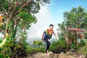 BIB: 
                            <button type="button" onclick="openModal(24891397)" class="btn btn-primary btn-sm float-right btn-popup" data-toggle="modal" data-target=".modal-high-quality">
                        <i class="fas fa-shopping-cart"></i> Add to Cart
                    </button>
                                            <button type="button" onclick="isThisMe(24891397, true)" class="btn btn-success btn-sm float-right btn-popup btn-isme hidden" data-toggle="tooltip" data-placement="bottom" title="นี่คือรูปของคุณใช่ไหม คลิกที่นี่เพื่อเอาเข้าอัลบั้ม">
                        <i class="fas fa-plus"></i> Add to album
                    </button>
                    <button type="button" onclick="isThisMe(24891397, false)" class="btn btn-warning btn-sm float-right btn-popup btn-isnotme hidden">
                        <i class="fas fa-ban"></i> Remove from album
                    </button>