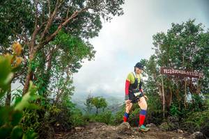 BIB: 
                            <button type="button" onclick="openModal(24890980)" class="btn btn-primary btn-sm float-right btn-popup" data-toggle="modal" data-target=".modal-high-quality">
                        <i class="fas fa-shopping-cart"></i> Add to Cart
                    </button>
                                            <button type="button" onclick="isThisMe(24890980, true)" class="btn btn-success btn-sm float-right btn-popup btn-isme hidden" data-toggle="tooltip" data-placement="bottom" title="นี่คือรูปของคุณใช่ไหม คลิกที่นี่เพื่อเอาเข้าอัลบั้ม">
                        <i class="fas fa-plus"></i> Add to album
                    </button>
                    <button type="button" onclick="isThisMe(24890980, false)" class="btn btn-warning btn-sm float-right btn-popup btn-isnotme hidden">
                        <i class="fas fa-ban"></i> Remove from album
                    </button>