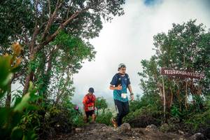 BIB: 
                            <button type="button" onclick="openModal(24890638)" class="btn btn-primary btn-sm float-right btn-popup" data-toggle="modal" data-target=".modal-high-quality">
                        <i class="fas fa-shopping-cart"></i> Add to Cart
                    </button>
                                            <button type="button" onclick="isThisMe(24890638, true)" class="btn btn-success btn-sm float-right btn-popup btn-isme hidden" data-toggle="tooltip" data-placement="bottom" title="นี่คือรูปของคุณใช่ไหม คลิกที่นี่เพื่อเอาเข้าอัลบั้ม">
                        <i class="fas fa-plus"></i> Add to album
                    </button>
                    <button type="button" onclick="isThisMe(24890638, false)" class="btn btn-warning btn-sm float-right btn-popup btn-isnotme hidden">
                        <i class="fas fa-ban"></i> Remove from album
                    </button>