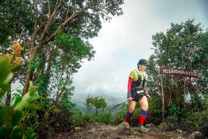 BIB: 
                            <button type="button" onclick="openModal(24890982)" class="btn btn-primary btn-sm float-right btn-popup" data-toggle="modal" data-target=".modal-high-quality">
                        <i class="fas fa-shopping-cart"></i> Add to Cart
                    </button>
                                            <button type="button" onclick="isThisMe(24890982, true)" class="btn btn-success btn-sm float-right btn-popup btn-isme hidden" data-toggle="tooltip" data-placement="bottom" title="นี่คือรูปของคุณใช่ไหม คลิกที่นี่เพื่อเอาเข้าอัลบั้ม">
                        <i class="fas fa-plus"></i> Add to album
                    </button>
                    <button type="button" onclick="isThisMe(24890982, false)" class="btn btn-warning btn-sm float-right btn-popup btn-isnotme hidden">
                        <i class="fas fa-ban"></i> Remove from album
                    </button>