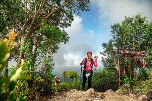 BIB: 
                            <button type="button" onclick="openModal(24891151)" class="btn btn-primary btn-sm float-right btn-popup" data-toggle="modal" data-target=".modal-high-quality">
                        <i class="fas fa-shopping-cart"></i> Add to Cart
                    </button>
                                            <button type="button" onclick="isThisMe(24891151, true)" class="btn btn-success btn-sm float-right btn-popup btn-isme hidden" data-toggle="tooltip" data-placement="bottom" title="นี่คือรูปของคุณใช่ไหม คลิกที่นี่เพื่อเอาเข้าอัลบั้ม">
                        <i class="fas fa-plus"></i> Add to album
                    </button>
                    <button type="button" onclick="isThisMe(24891151, false)" class="btn btn-warning btn-sm float-right btn-popup btn-isnotme hidden">
                        <i class="fas fa-ban"></i> Remove from album
                    </button>