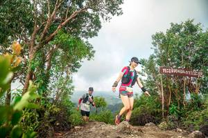 BIB: 
                            <button type="button" onclick="openModal(24891100)" class="btn btn-primary btn-sm float-right btn-popup" data-toggle="modal" data-target=".modal-high-quality">
                        <i class="fas fa-shopping-cart"></i> Add to Cart
                    </button>
                                            <button type="button" onclick="isThisMe(24891100, true)" class="btn btn-success btn-sm float-right btn-popup btn-isme hidden" data-toggle="tooltip" data-placement="bottom" title="นี่คือรูปของคุณใช่ไหม คลิกที่นี่เพื่อเอาเข้าอัลบั้ม">
                        <i class="fas fa-plus"></i> Add to album
                    </button>
                    <button type="button" onclick="isThisMe(24891100, false)" class="btn btn-warning btn-sm float-right btn-popup btn-isnotme hidden">
                        <i class="fas fa-ban"></i> Remove from album
                    </button>