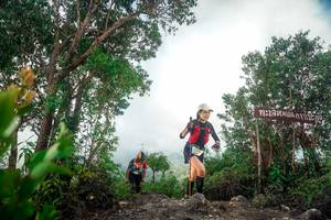 BIB: 
                            <button type="button" onclick="openModal(24890527)" class="btn btn-primary btn-sm float-right btn-popup" data-toggle="modal" data-target=".modal-high-quality">
                        <i class="fas fa-shopping-cart"></i> Add to Cart
                    </button>
                                            <button type="button" onclick="isThisMe(24890527, true)" class="btn btn-success btn-sm float-right btn-popup btn-isme hidden" data-toggle="tooltip" data-placement="bottom" title="นี่คือรูปของคุณใช่ไหม คลิกที่นี่เพื่อเอาเข้าอัลบั้ม">
                        <i class="fas fa-plus"></i> Add to album
                    </button>
                    <button type="button" onclick="isThisMe(24890527, false)" class="btn btn-warning btn-sm float-right btn-popup btn-isnotme hidden">
                        <i class="fas fa-ban"></i> Remove from album
                    </button>