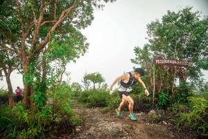 BIB: 
                            <button type="button" onclick="openModal(24889746)" class="btn btn-primary btn-sm float-right btn-popup" data-toggle="modal" data-target=".modal-high-quality">
                        <i class="fas fa-shopping-cart"></i> Add to Cart
                    </button>
                                            <button type="button" onclick="isThisMe(24889746, true)" class="btn btn-success btn-sm float-right btn-popup btn-isme hidden" data-toggle="tooltip" data-placement="bottom" title="นี่คือรูปของคุณใช่ไหม คลิกที่นี่เพื่อเอาเข้าอัลบั้ม">
                        <i class="fas fa-plus"></i> Add to album
                    </button>
                    <button type="button" onclick="isThisMe(24889746, false)" class="btn btn-warning btn-sm float-right btn-popup btn-isnotme hidden">
                        <i class="fas fa-ban"></i> Remove from album
                    </button>