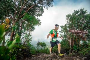 BIB: 252
                            <button type="button" onclick="openModal(24890613)" class="btn btn-primary btn-sm float-right btn-popup" data-toggle="modal" data-target=".modal-high-quality">
                        <i class="fas fa-shopping-cart"></i> Add to Cart
                    </button>
                                            <button type="button" onclick="isThisMe(24890613, true)" class="btn btn-success btn-sm float-right btn-popup btn-isme hidden" data-toggle="tooltip" data-placement="bottom" title="นี่คือรูปของคุณใช่ไหม คลิกที่นี่เพื่อเอาเข้าอัลบั้ม">
                        <i class="fas fa-plus"></i> Add to album
                    </button>
                    <button type="button" onclick="isThisMe(24890613, false)" class="btn btn-warning btn-sm float-right btn-popup btn-isnotme hidden">
                        <i class="fas fa-ban"></i> Remove from album
                    </button>